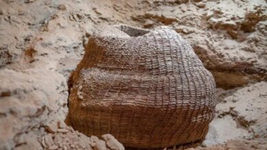 Foto de Cesta tecida mais antiga do mundo é encontrada em Israel